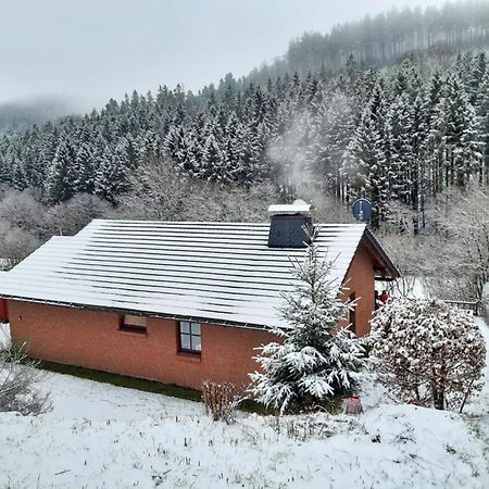 Ferienhaus Becker Willingen  Kültér fotó