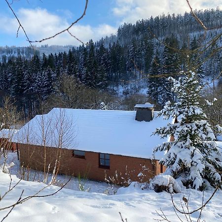 Ferienhaus Becker Willingen  Kültér fotó